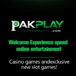 pakplay game icon