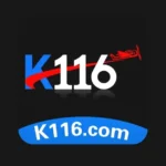 k116 game icon
